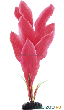 Растение для аквариума шелковое Апоногетон мадагаскарский красный BARBUS Plant 041 (30 см)