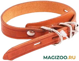 Ошейник для собак кожаный одинарный простой, рыжий, шир. 10 мм, ZooMaster (20 см)