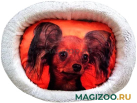 Лежак для собак PerseiLine Rich Breed Дизайн № 5 принт 37 овальный 55 х 47 х 16 см  (1 шт)