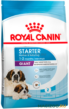 Сухой корм ROYAL CANIN GIANT STARTER для щенков крупных пород до 2 месяцев, беременных и кормящих сук (4 кг)