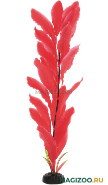 Растение для аквариума шелковое Апоногетон мадагаскарский красный BARBUS Plant 041 (50 см)