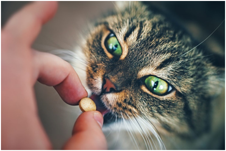 Витамины для кошек в пакетиках