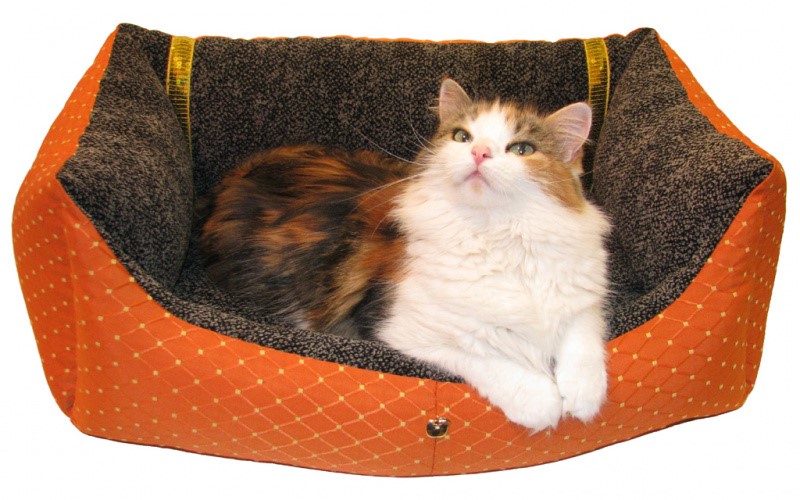 Спальное место для кота — как выбрать постель для кошки по размеру, какие  лежанки любят коты