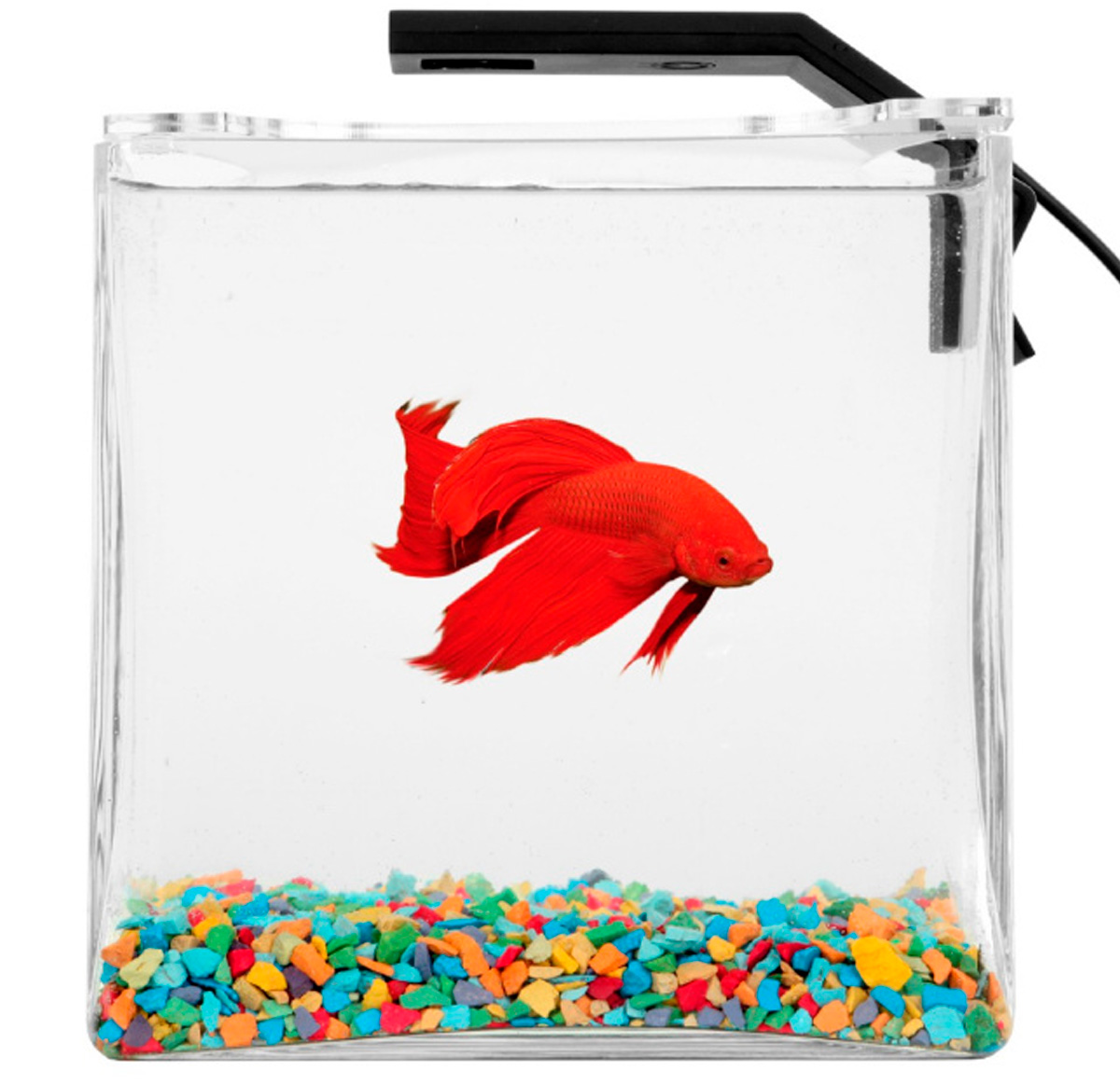 

Аквариумный набор AquaLighter Betta Set 2,7 литра (1 шт)