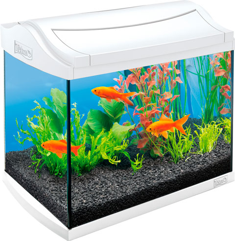 

Аквариум Tetra Aquaart Discover Line 20 литров 38 х 26 х 34 см белый (1 шт)