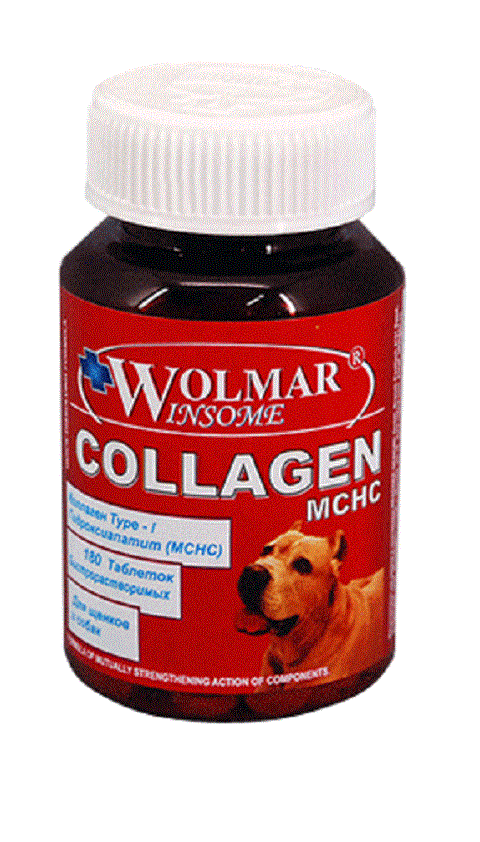 

Wolmar Winsome Collagen Mchc - Волмар хондропротектор на основе гидроксиапатита кальция для собак (180 таблеток)