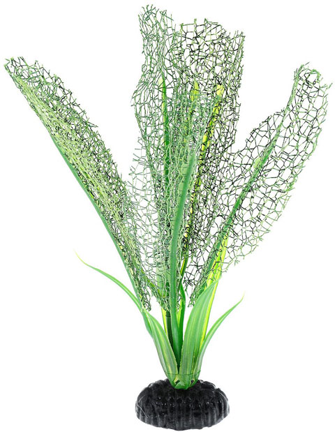 Растение для аквариума шелковое Апоногетон мадагаскарский зеленый Barbus Plant 039 (10 см)