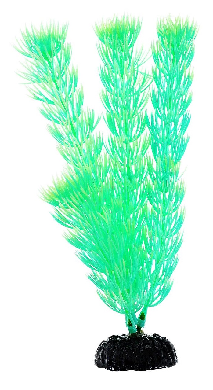 Barbus купить. Barbus Plant 004. Искусственное растение Barbus Амбулия светящееся 10 см. Растение Амбулия. Амбулия для аквариума.