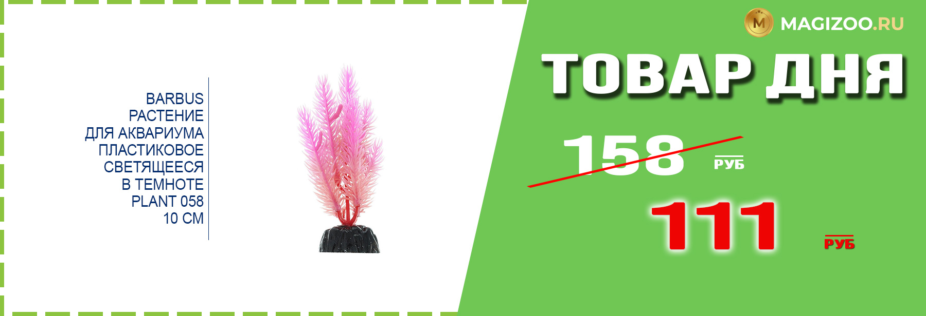 Растение BARBUS для аквариума!