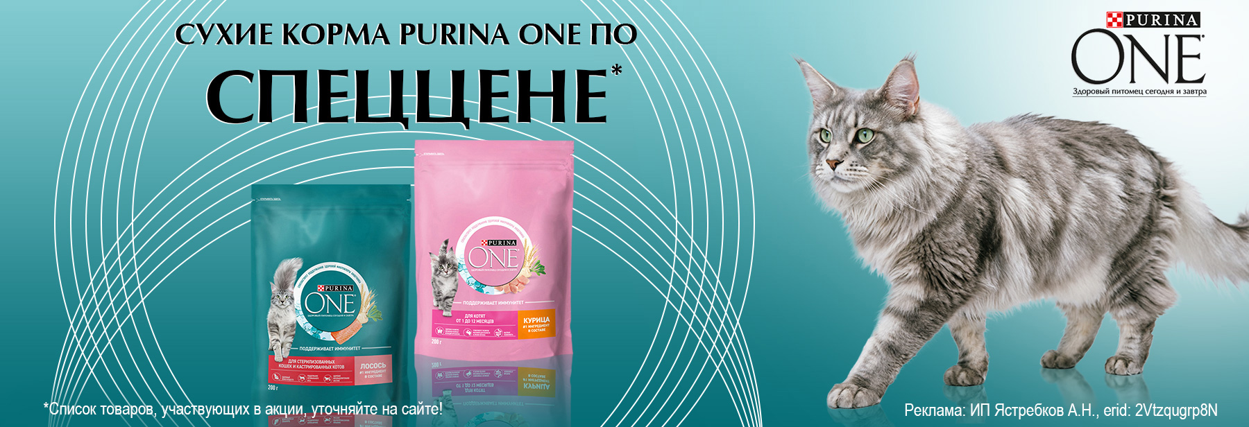 PURINA ONE по СПЕЦЦЕНЕ!