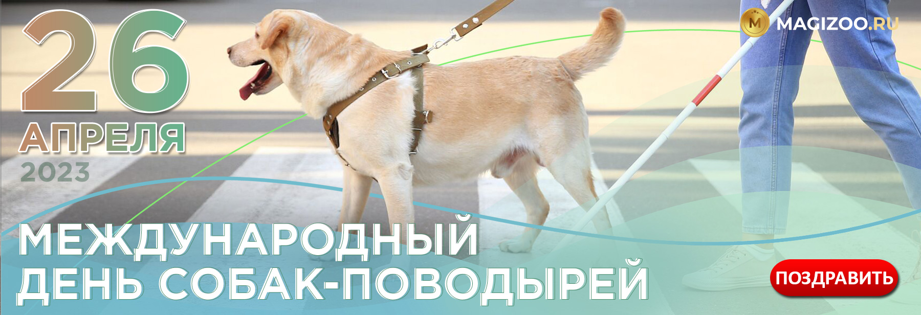 26 апреля - Международный День Собак-Поводырей!