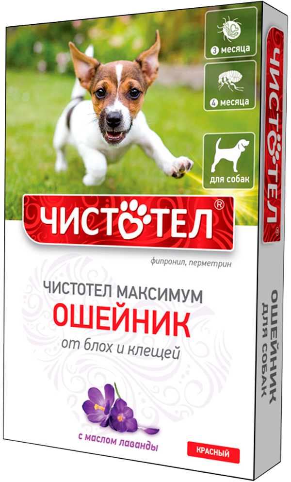 

чистотел максимум ошейник для собак против блох и клещей красный 65 см (1 шт)