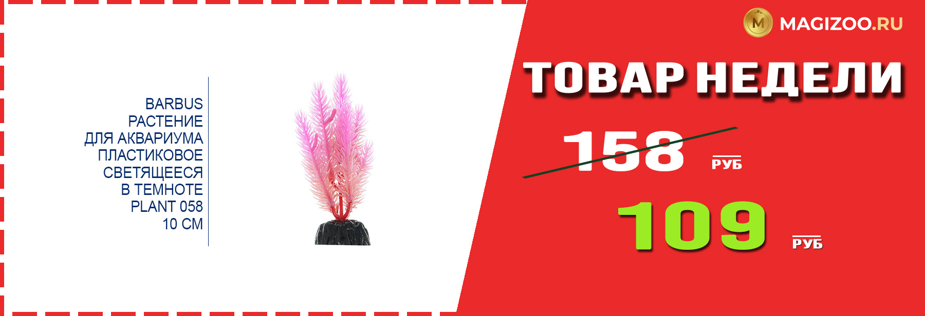 Растение BARBUS! Выгодная цена!