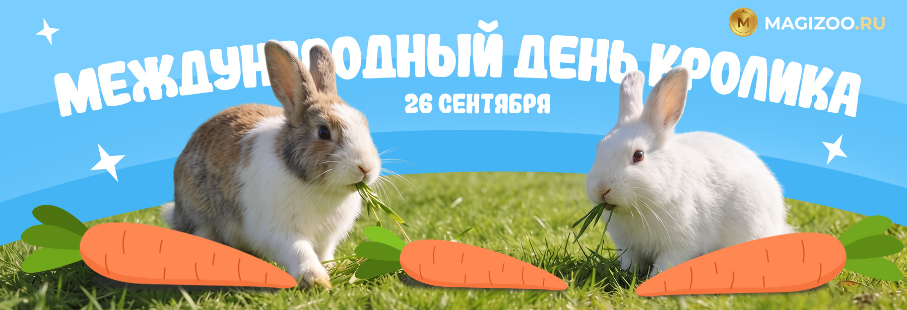 26 сентября - Международный день кролика!