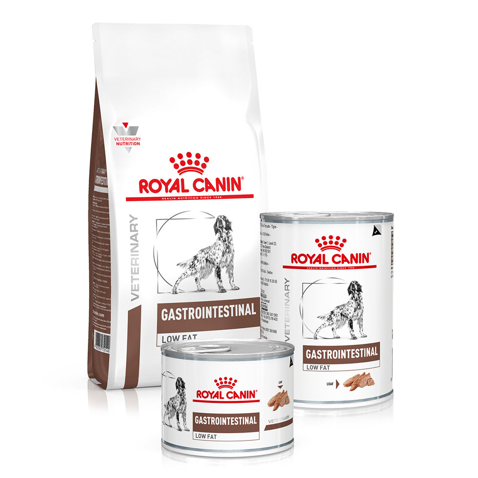 Royal canin gastrointestinal