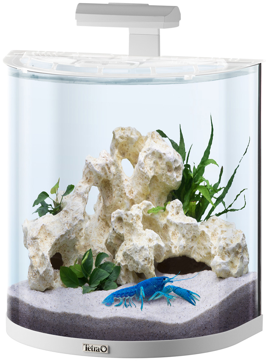 

Аквариум дуговой Tetra Aquaart Explorer Line Led Cray 30 литров 41 x 28 x 51 см белый (1 шт)