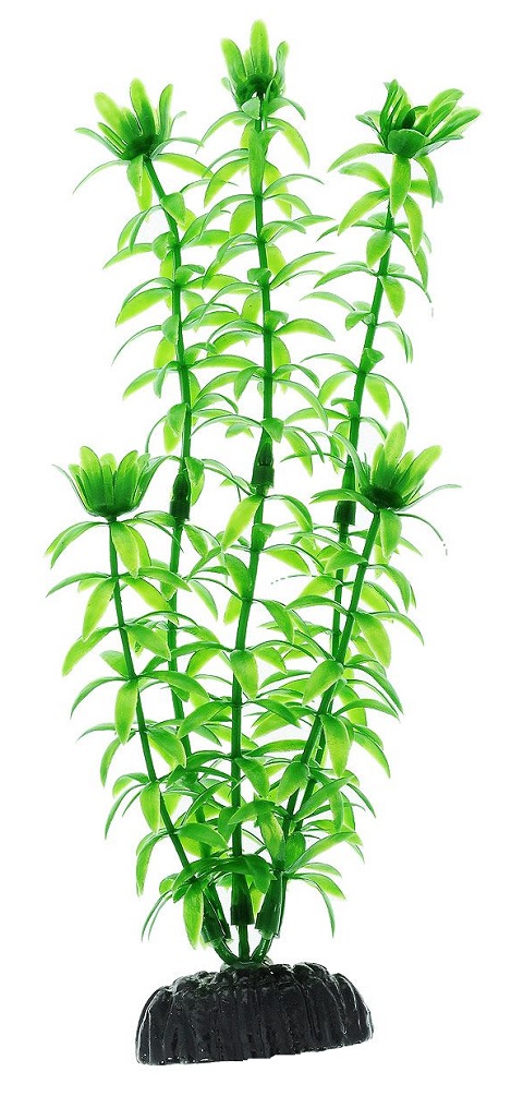 

Растение для аквариума пластиковое Элодея зеленая, Barbus, Plant 004 (50 см)