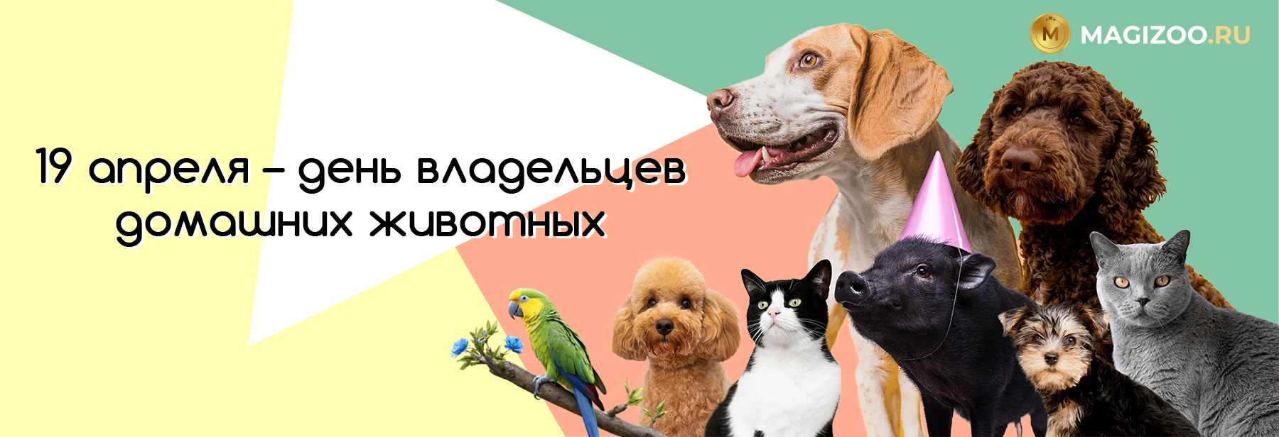 19 апреля – день владельцев домашних животных!