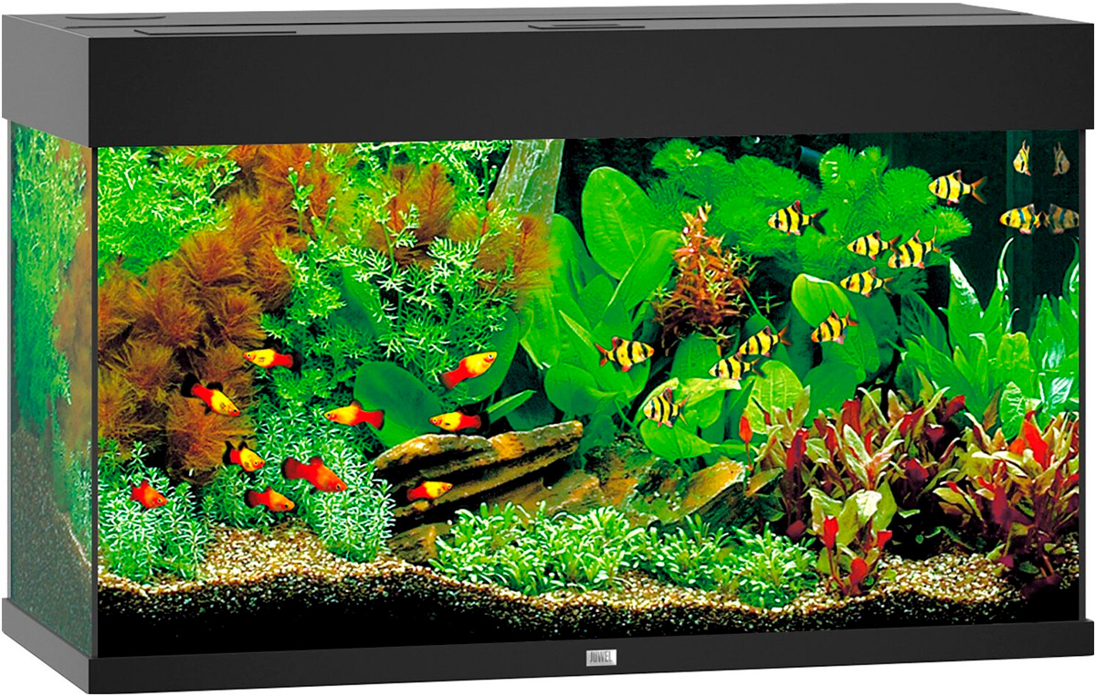 

Аквариум Juwel Rio 125 Led 2х14W Bioflow M нагреватель 100w 81х36х50 черный (1 шт)