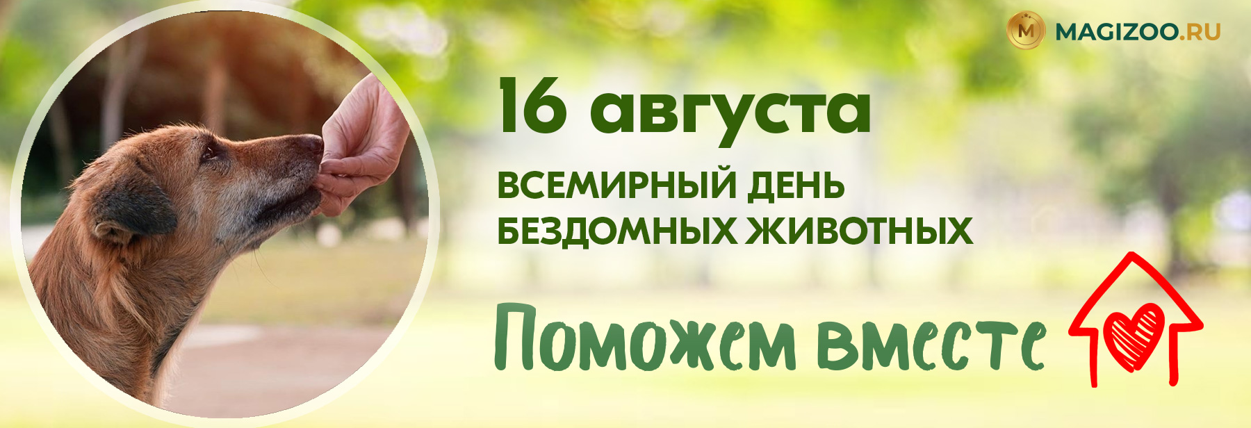 16 августа - Всемирный день бездомных животных!