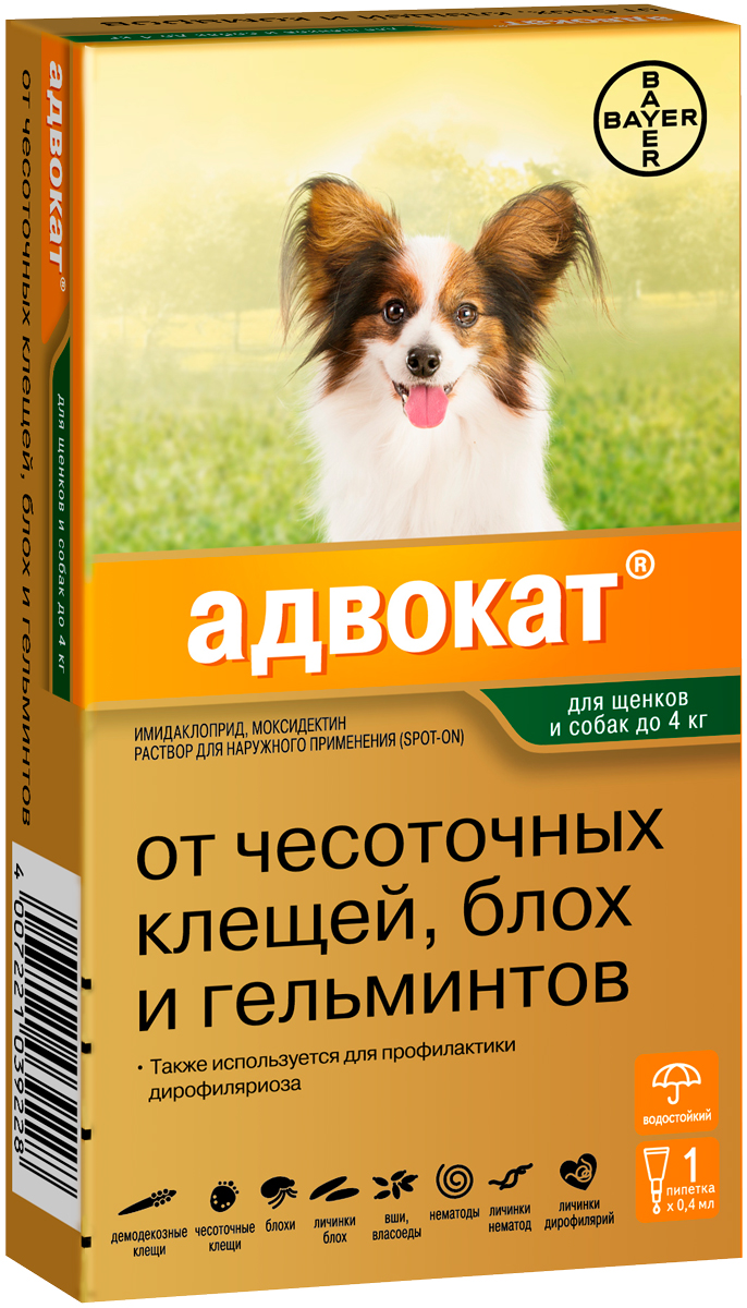 Адвокат от блох и клещей. Адвокат капли для собак до 4 кг. Адвокат от блох для щенков. Адвокат капли на холку для собак. Байер адвокат для собак.