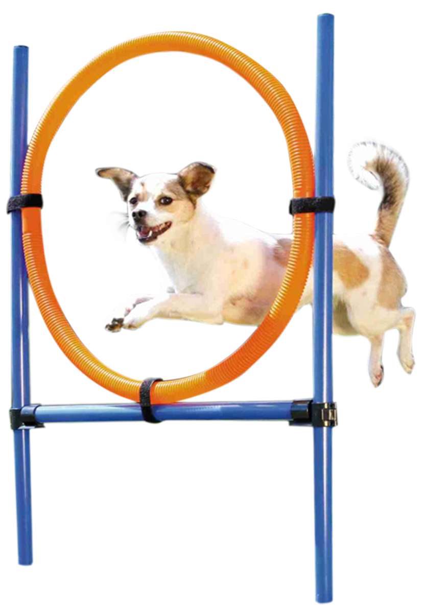 

Набор для аджилити барьер шина Trixie Tire Jump пластиковый (1 шт)