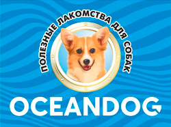OCEAN DOG