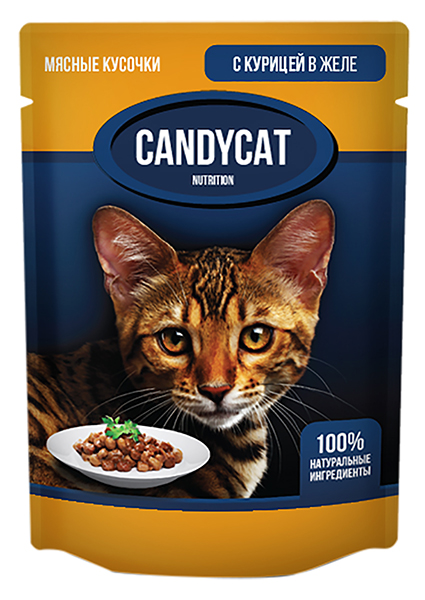 

Candycat для взрослых кошек с курицей в желе (85 гр)