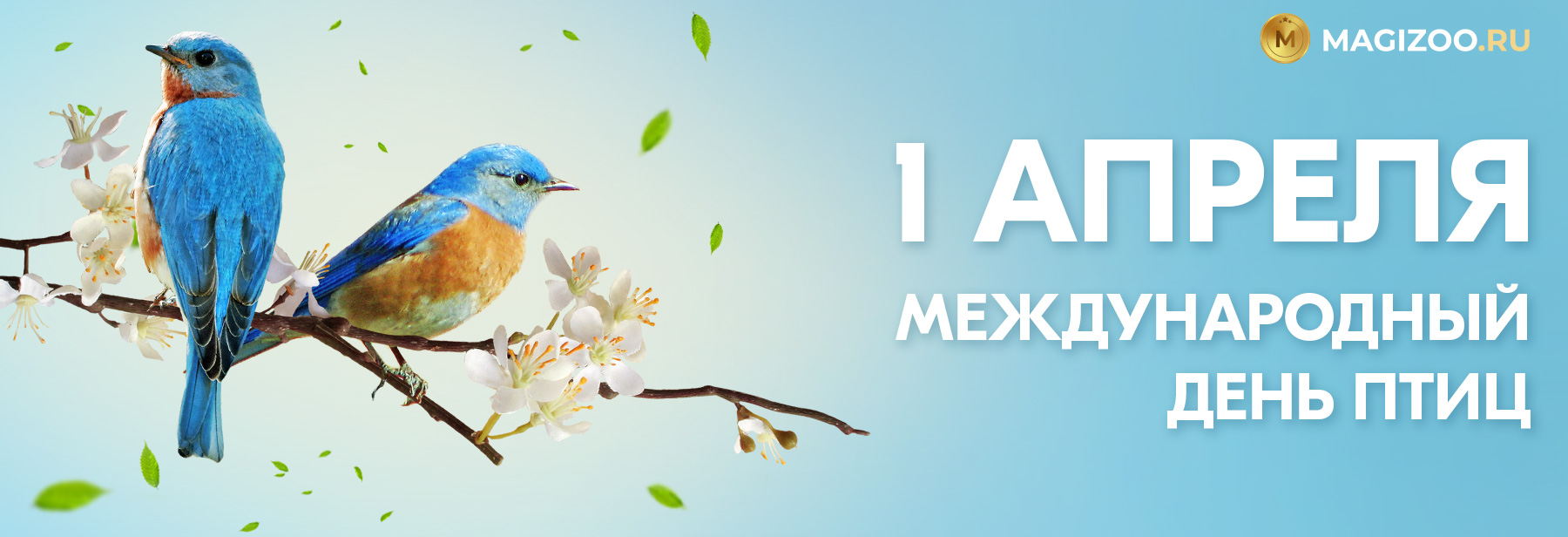 1 апреля - Международный День Птиц!!