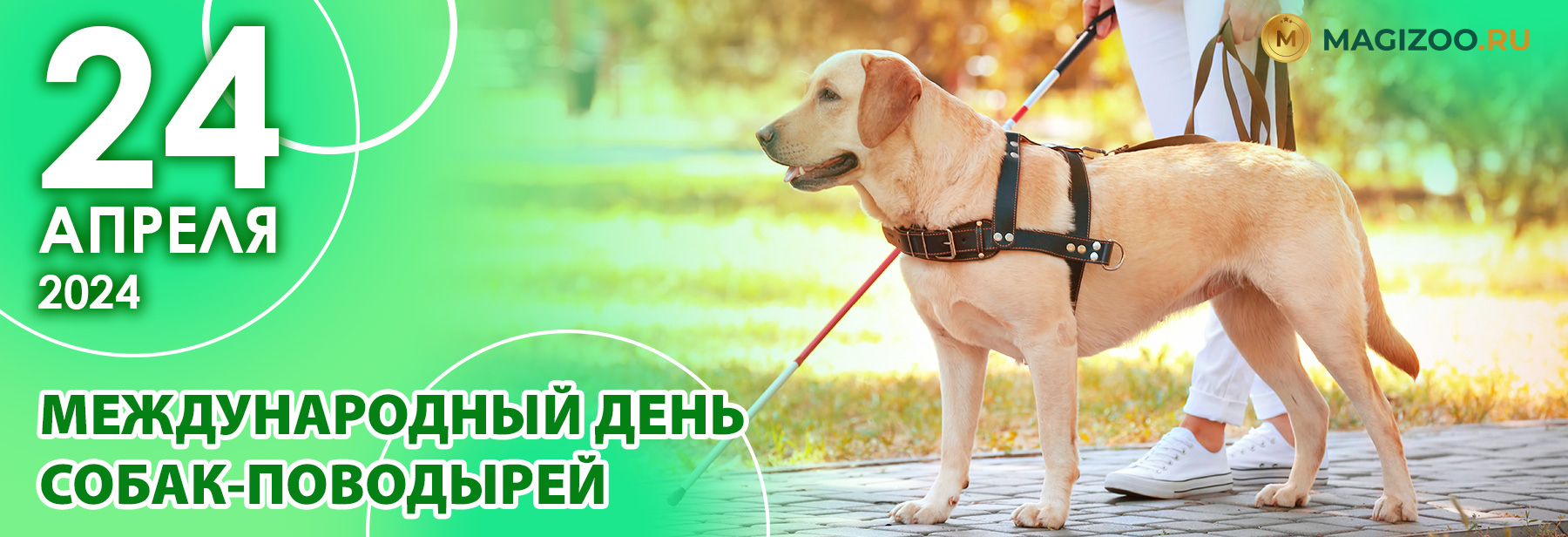 24 апреля - Международный День Собак-Поводырей!