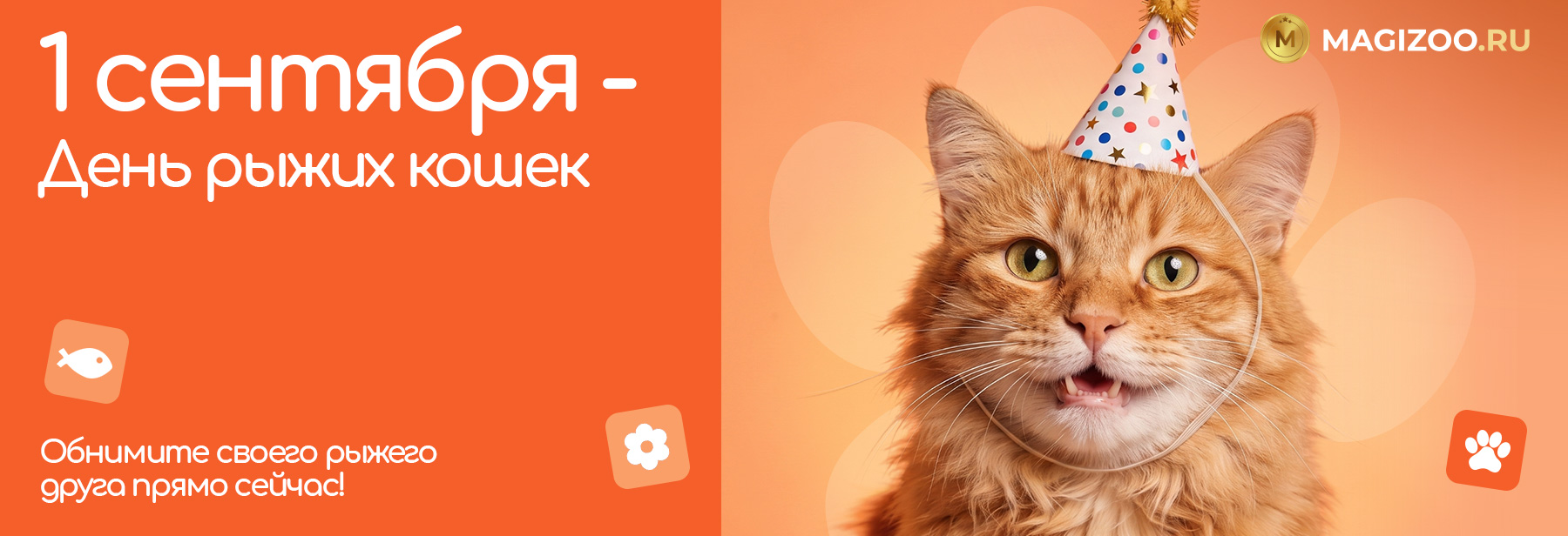1 сентября - День рыжих кошек!