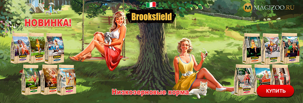 Пополнение ассортимента известным сухим кормом Brooksfield для собак и кошек, пробуем вместе!