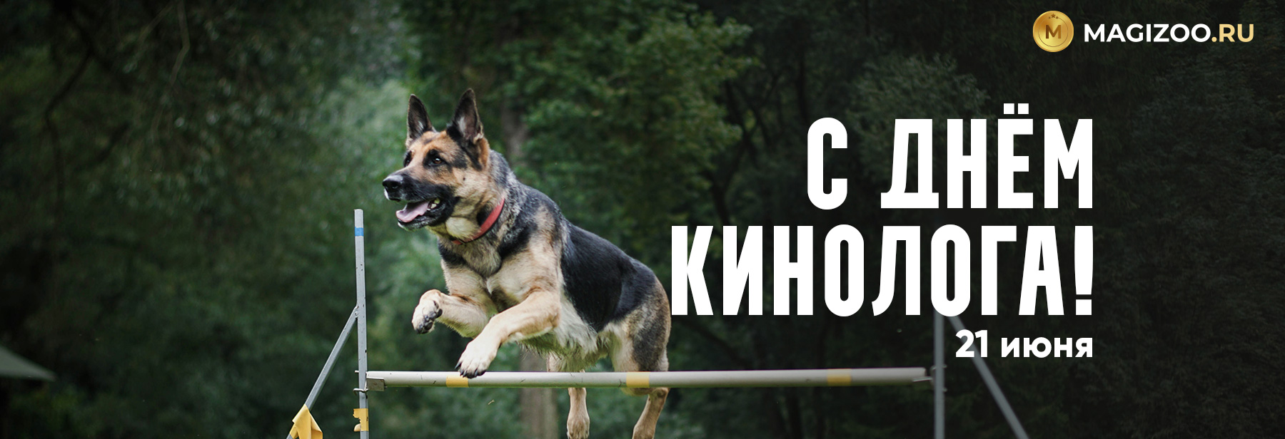 21 июня - День кинологических подразделений МВД России!