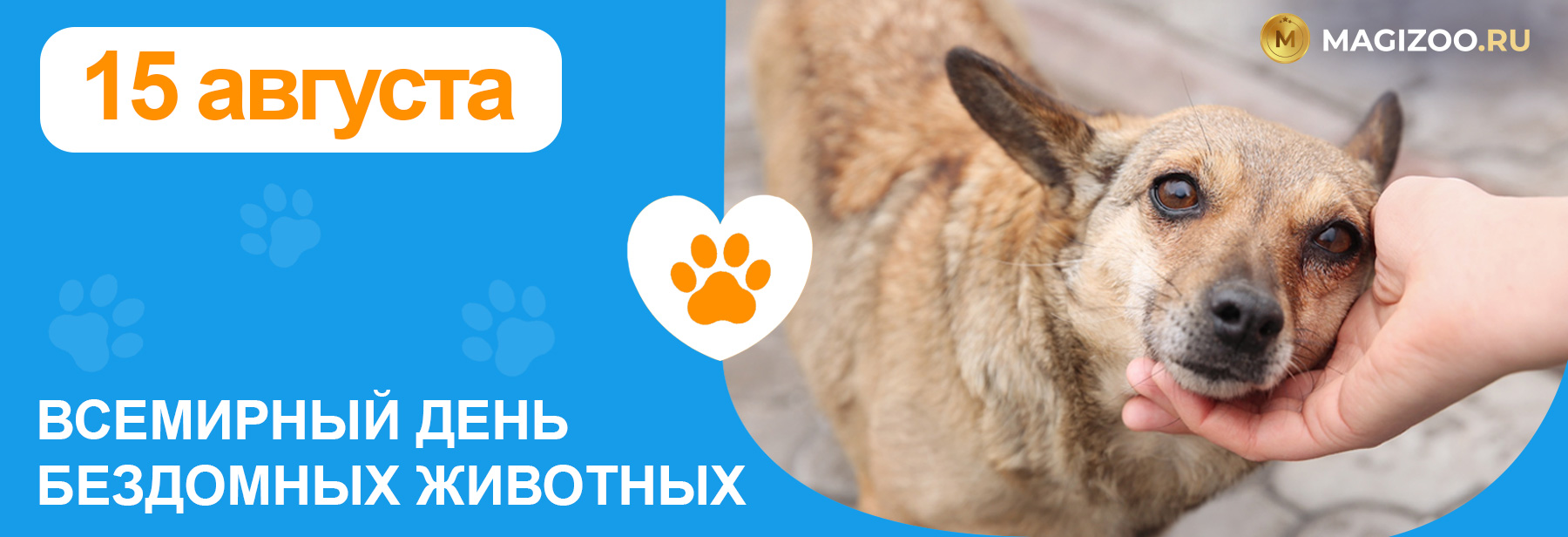 15 августа - Всемирный день Бездомных животных!!!
