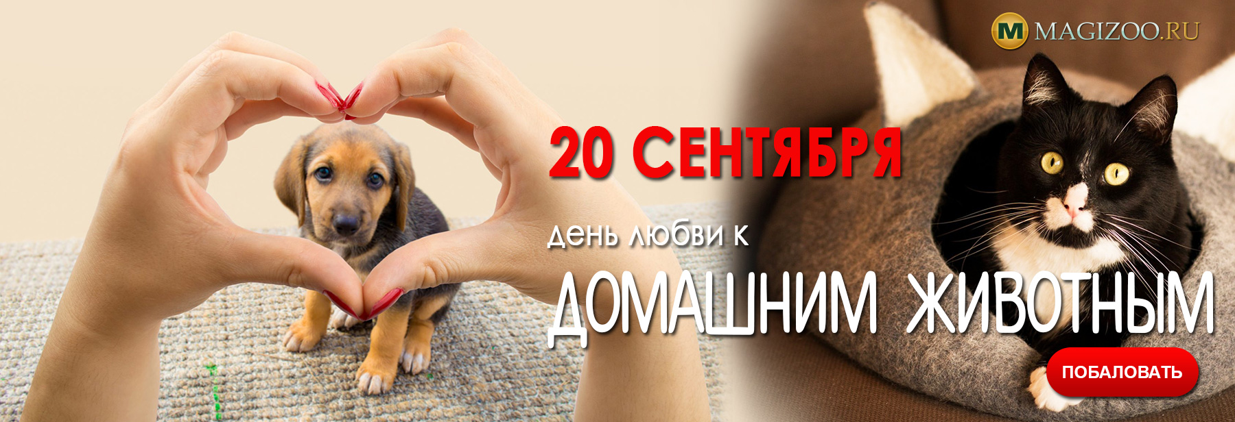20 сентября - День любви к Домашним Животным!