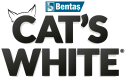 CAT'S WHITE