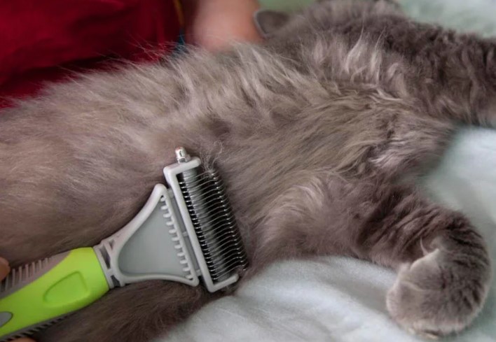 Колтунорез для кошек — как пользоваться, принцип работы расчесок и ножниц  от колтунов