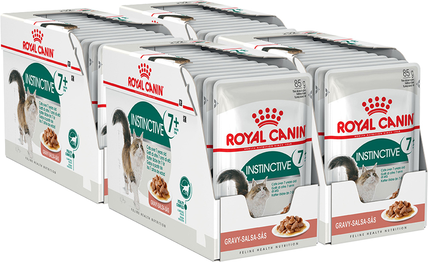 Отзывы ветеринаров о корме для кошек Роял Канин, как выбрать сухой или влажный  корм Royal Canin для котенка
