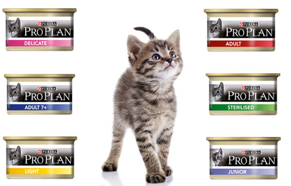 Отзывы ветеринаров о корме для кошек Проплан, состав кормов для котят  Purina Pro Plan