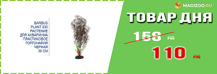 Декорация BARBUS для аквариума!