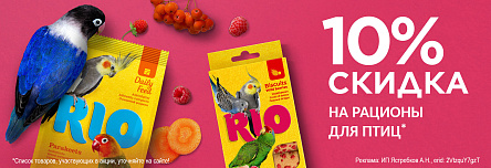 RIO со скидкой 10%!