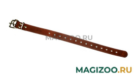 Ошейник для собак кожаный универсальный коньячный макс. 58 см x 35 мм Аркон (1 шт) 