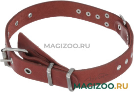 Ошейник для собак кожаный коньячный 26 - 34 см x 16 мм Аркон о16к (1 шт)