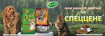 ОСКАР по СПЕЦЦЕНЕ!