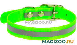 Ошейник для собак Каскад Biotan биотан со светоотражающей полосой зеленый 25 мм 39 – 51,5 см (1 шт)