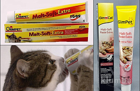 Паста для выведения шерсти у кошек: выбор и секреты использования