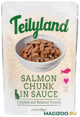 Влажный корм (консервы) PETTRIC TEILYLAND для кошек с лососем в соусе пауч (85 гр)