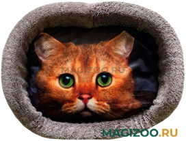 Лежак для кошек PerseiLine Rich Breed Дизайн № 5 принт 16 овальный 55 х 47 х 16 см  (1 шт)
