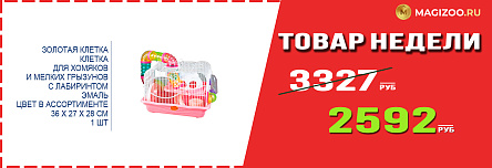 Клетка ЗОЛОТАЯ КЛЕТКА! Выгодная цена!