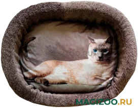Лежак для кошек PerseiLine Rich Breed Дизайн № 5 принт 1 овальный 55 х 47 х 16 см  (1 шт)